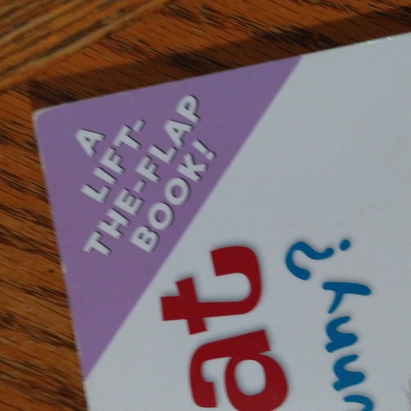 ✨5/$15✨ Children's Book - Splat the Cat Where's the Easter Bunny? Flap Book - Picture 3 of 15